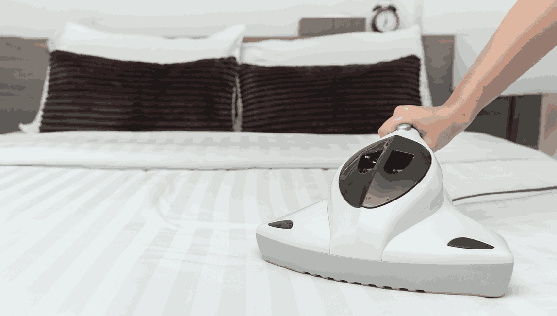 Professional Mattress Cleaning Seaford